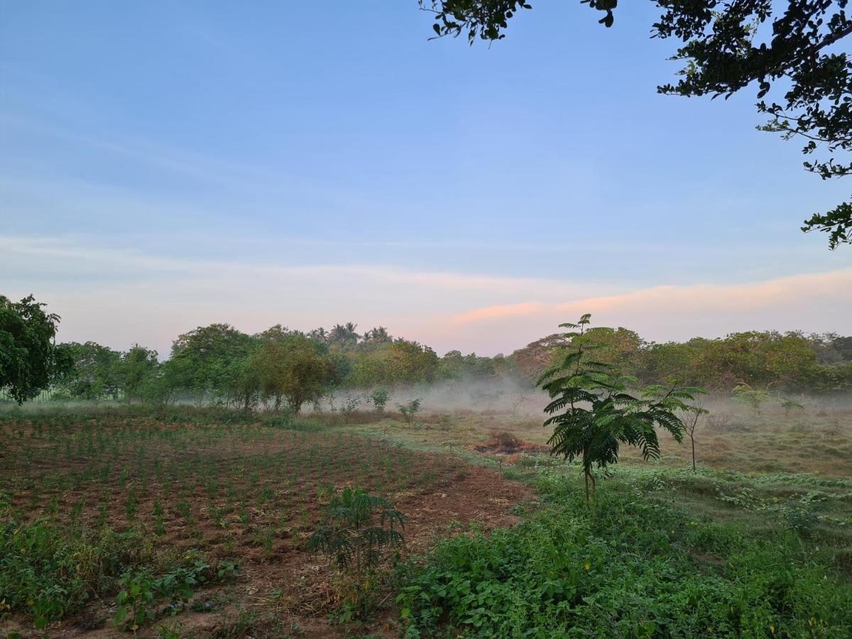 Ranakeliya Lodge - Yala Exteriér fotografie