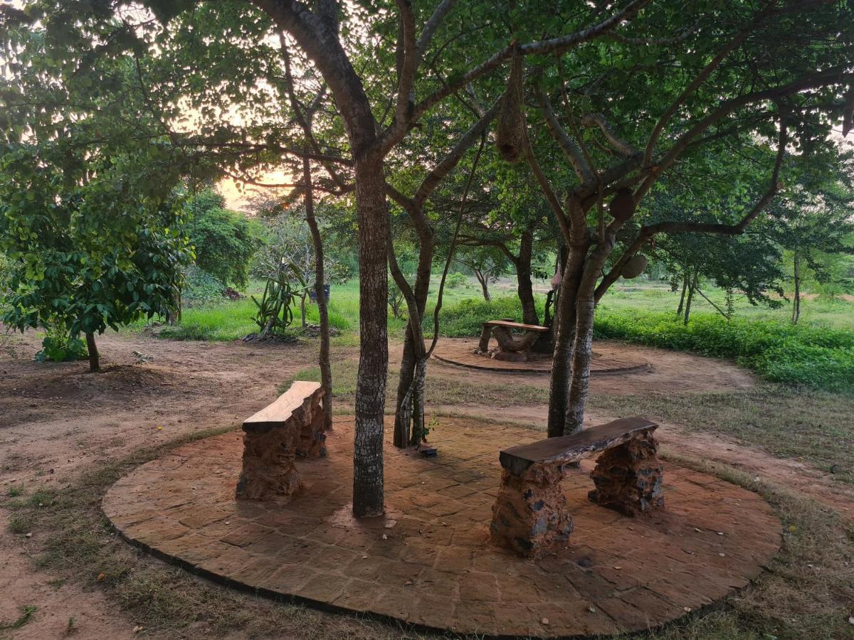 Ranakeliya Lodge - Yala Exteriér fotografie