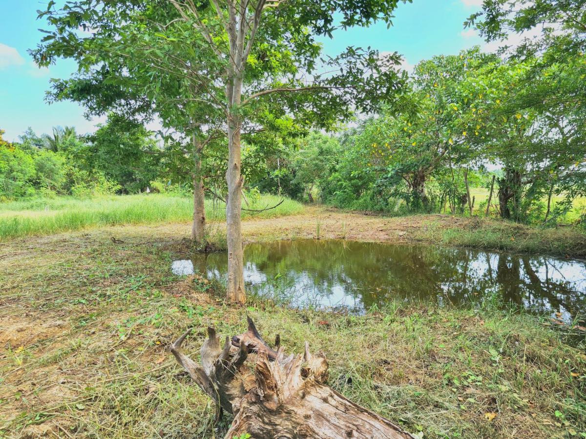 Ranakeliya Lodge - Yala Exteriér fotografie
