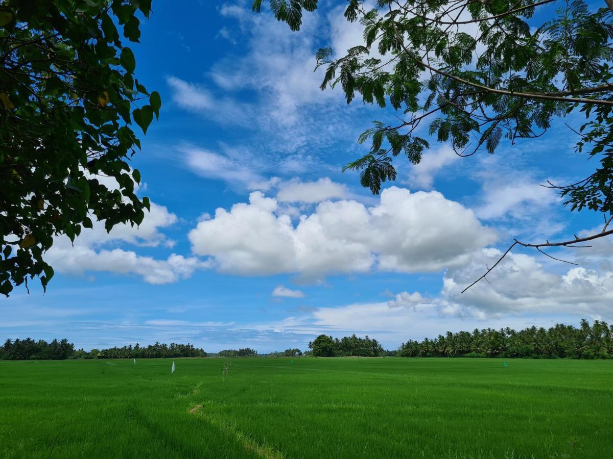 Ranakeliya Lodge - Yala Exteriér fotografie