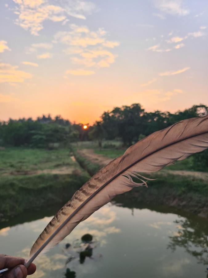 Ranakeliya Lodge - Yala Exteriér fotografie