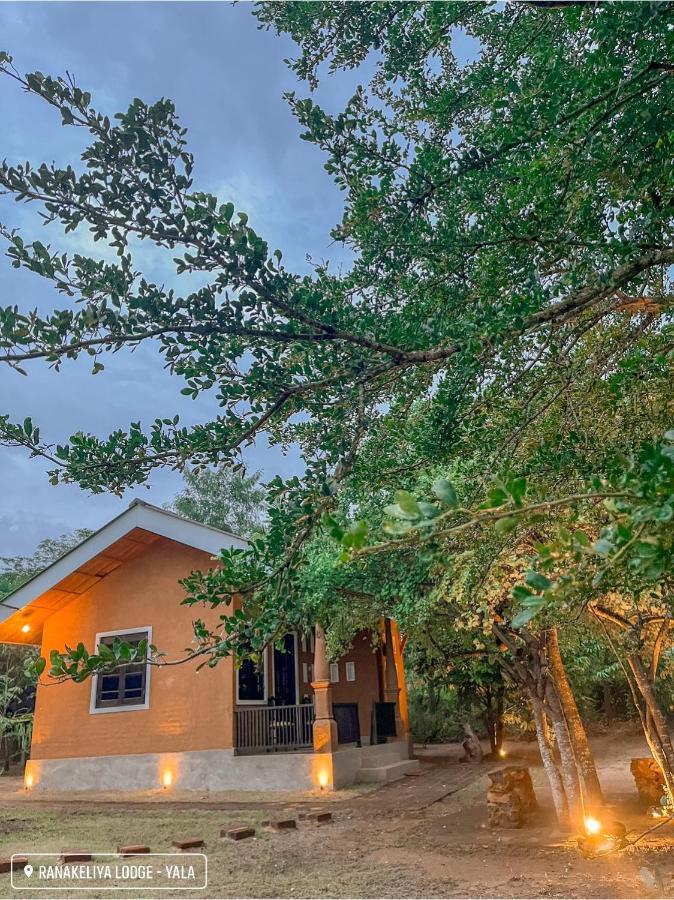 Ranakeliya Lodge - Yala Exteriér fotografie