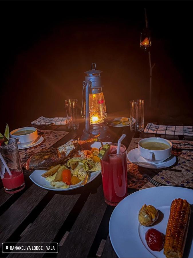 Ranakeliya Lodge - Yala Exteriér fotografie