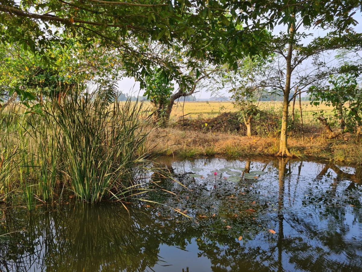 Ranakeliya Lodge - Yala Exteriér fotografie
